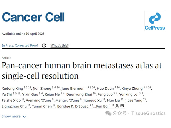 Cancer Cell|北京大學(xué)白凡教授團隊